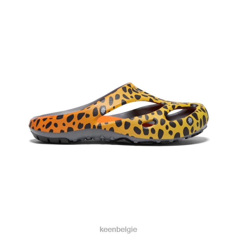 Heren shanti-kunsten de cheetah-regenboog KEEN schoenen DPX8V130