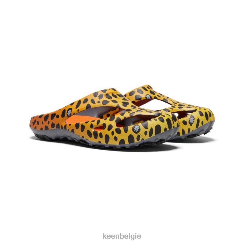 Heren shanti-kunsten de cheetah-regenboog KEEN schoenen DPX8V130