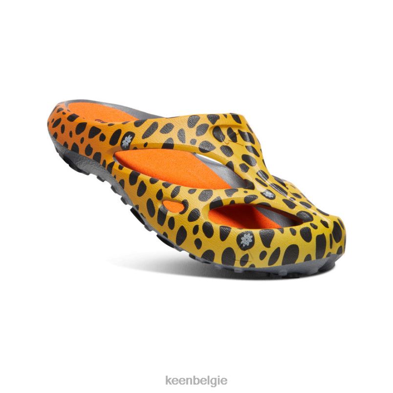 Heren shanti-kunsten de cheetah-regenboog KEEN schoenen DPX8V130