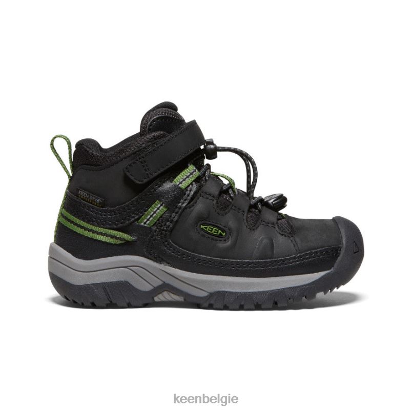 kleine kinderen targhee waterdichte laars zwart/camping KEEN schoenen DPX8V879