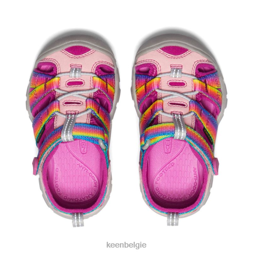 peuters zeekamp ii cnx regenboog/festivalfuchsia KEEN schoenen DPX8V823