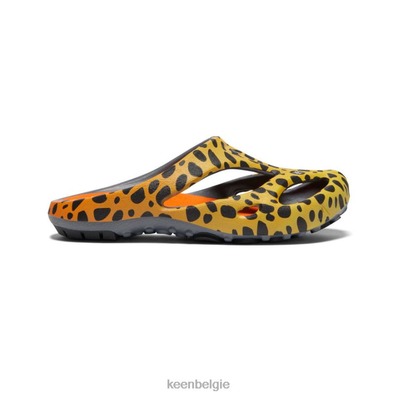 vrouwen shanti-kunsten de cheetah-regenboog KEEN schoenen DPX8V670