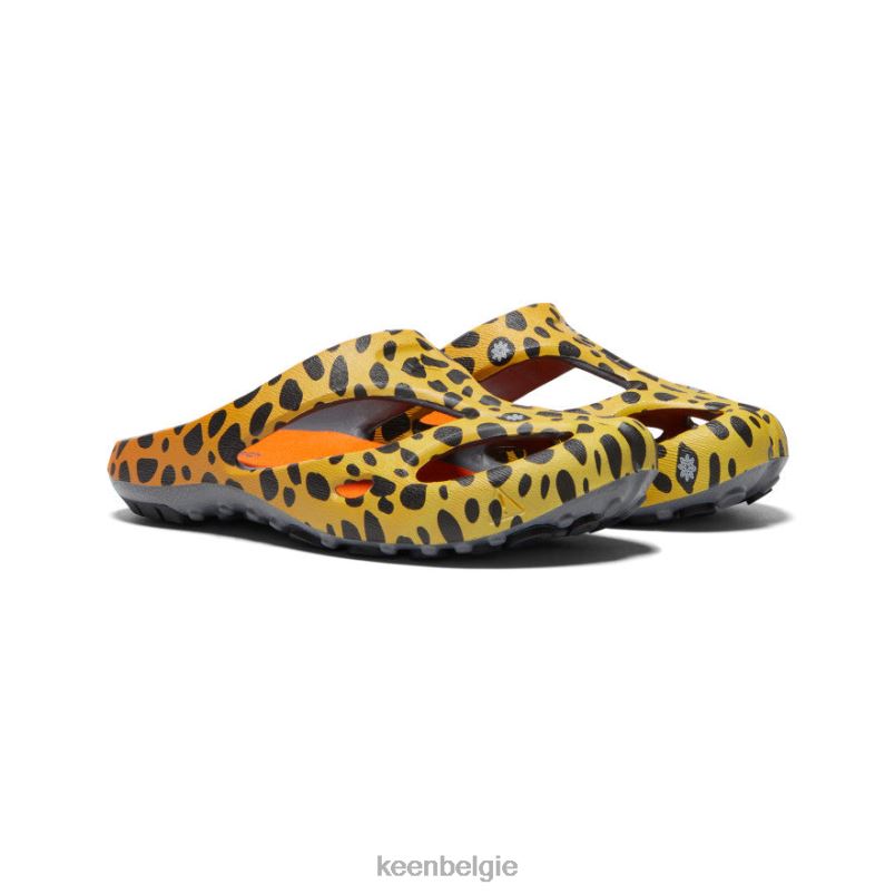 vrouwen shanti-kunsten de cheetah-regenboog KEEN schoenen DPX8V670