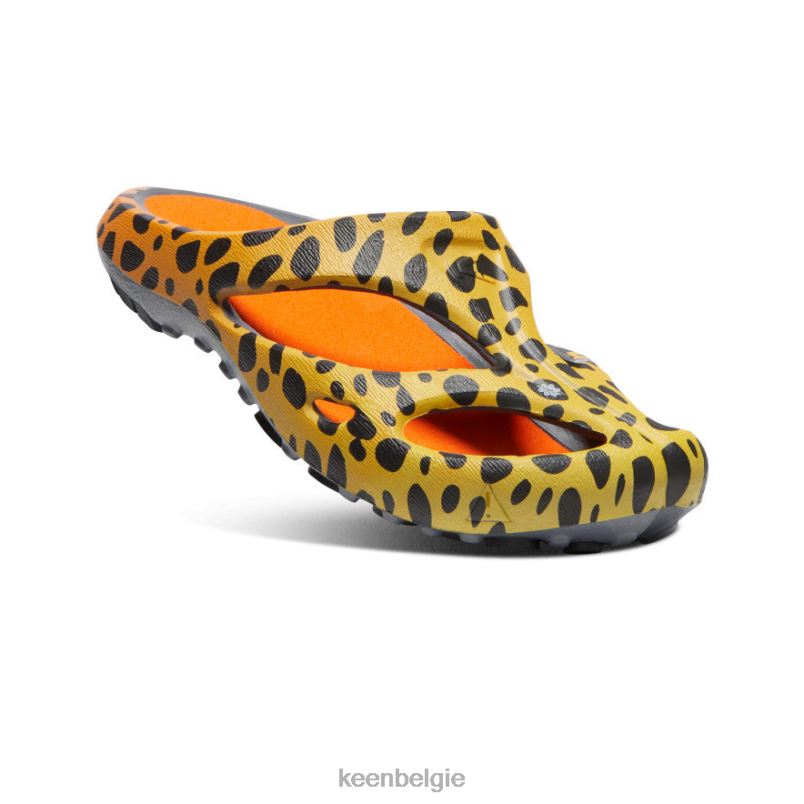 vrouwen shanti-kunsten de cheetah-regenboog KEEN schoenen DPX8V670